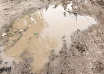 ਨਰਕ ਭਰੀ ਜ਼ਿੰਦਗੀ ਬਤੀਤ ਕਰਦੇ ਮੁਹੱਲਾ ਗੁਰਦਾਸਪੁਰ ਦੇ ਵਾਸੀ