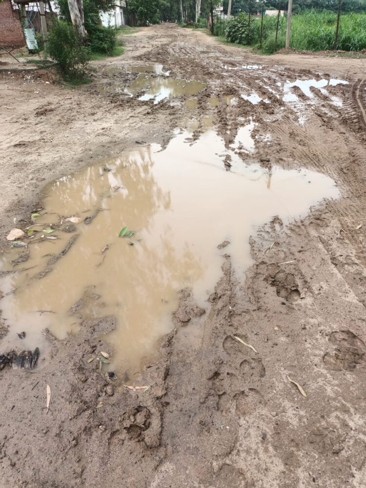 ਨਰਕ ਭਰੀ ਜ਼ਿੰਦਗੀ ਬਤੀਤ ਕਰਦੇ ਮੁਹੱਲਾ ਗੁਰਦਾਸਪੁਰ ਦੇ ਵਾਸੀ