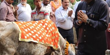 *विश्व हिन्दू परिषद ने धूमधाम से मनाया वत्स द्वादशी का त्यौहार*