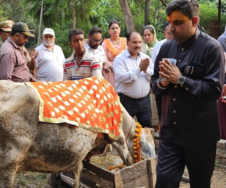 *विश्व हिन्दू परिषद ने धूमधाम से मनाया वत्स द्वादशी का त्यौहार*