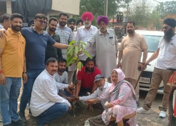 ਵੱਧ ਰਹੀ ਗਰਮੀ ਨੂੰ ਵੇਖਦਿਆਂ ਗੁਰਦਾਸਪੁਰ ਜਿਲੇ ਵਿੱਚ ਲਾਏ ਜਾਣਗੇ ਪੰਜ ਲੱਖ ਬੂਟੇ 