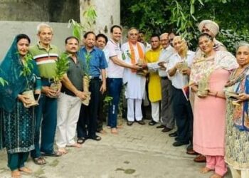 *वातावरण को हरा भरा रखने में पूर्ण सहयोग कर रही विहिप नगर टीम :- रमन बहल*