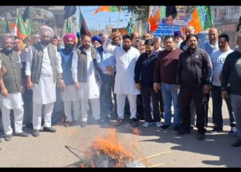 ਭਾਜਪਾ ਨੇ ਫੂਕਿਆ ਸੂਬਾ ਸਰਕਾਰ ਦਾ ਪੁਤਲਾ