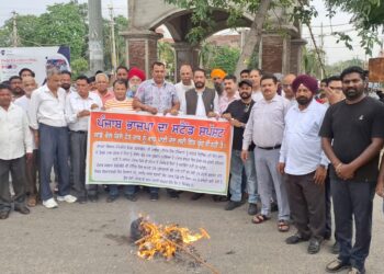 ਪੰਜਾਬ ਕੋਲ ਕਿਸੇ ਹੋਰ ਸੂਬੇ ਨੂੰ ਵਾਧੂ ਪਾਣੀ ਦੇਣ ਲਈ ਨਹੀਂ ਹੈ : ਹੀਰਾ ਵਾਲੀਆ